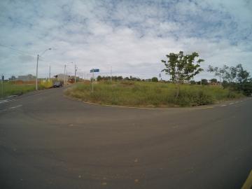 Alugar Terreno / Padr&atilde;o em S&atilde;o Jos&eacute; do Rio Preto. apenas R$ 215.000,00