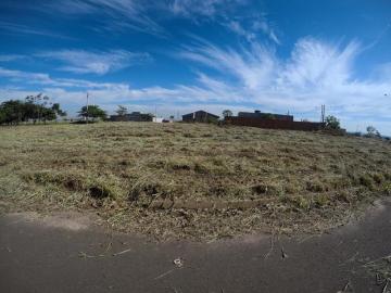 Comprar Terreno / Padr&atilde;o em Bady Bassitt R$ 146.000,00 - Foto 2