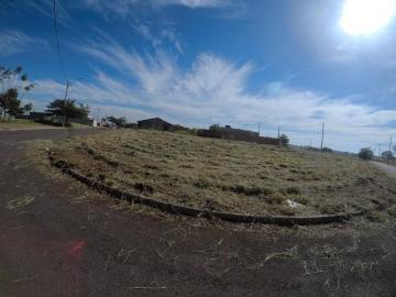 Terreno / Padr&atilde;o em Bady Bassitt 