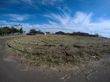 Comprar Terreno / Padr&atilde;o em Bady Bassitt R$ 164.000,00 - Foto 2