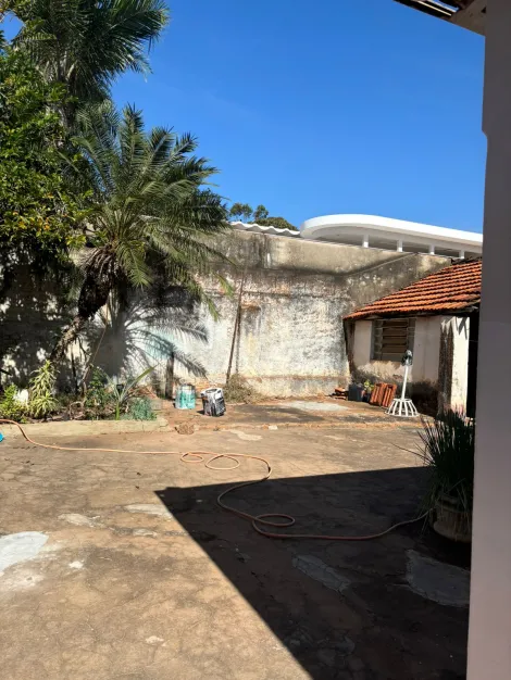 Comprar Casa / Padr&atilde;o em S&atilde;o Jos&eacute; do Rio Preto R$ 800.000,00 - Foto 11