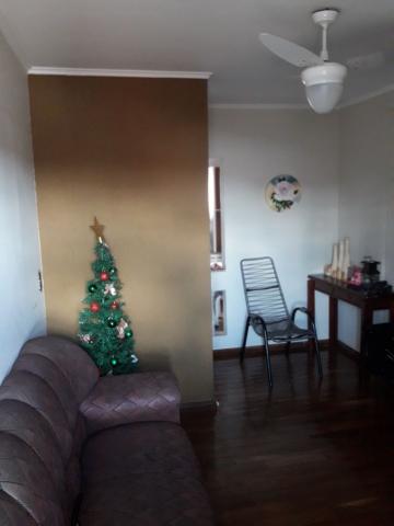 Apartamento / Padr&atilde;o em S&atilde;o Jos&eacute; do Rio Preto 