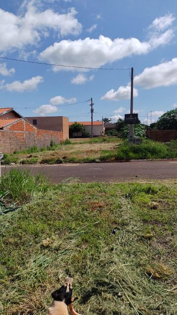 Comprar Terreno / Padr&atilde;o em Palestina R$ 50.000,00 - Foto 4