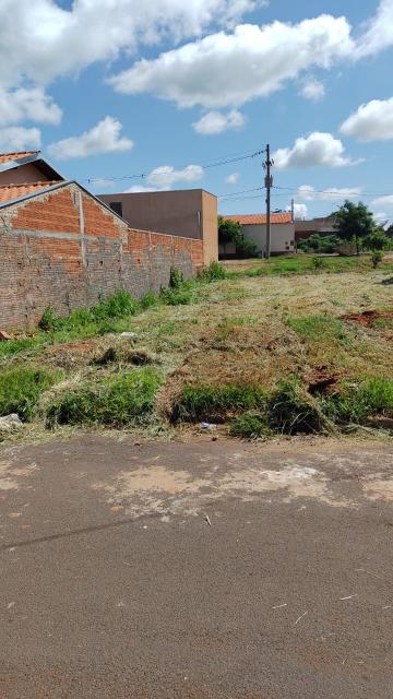 Comprar Terreno / Padr&atilde;o em Palestina R$ 50.000,00 - Foto 5