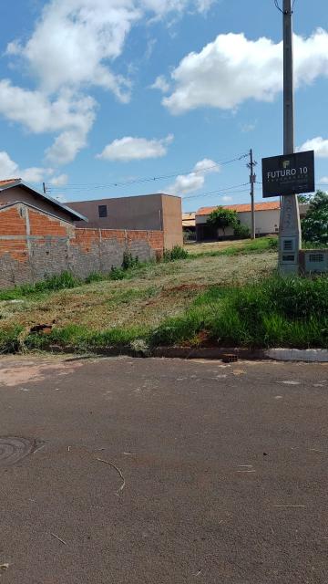 Comprar Terreno / Padr&atilde;o em Palestina R$ 50.000,00 - Foto 6