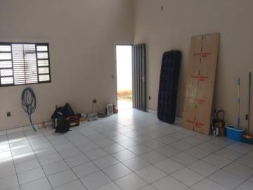 Alugar Comercial / Sal&atilde;o em S&atilde;o Jos&eacute; do Rio Preto R$ 1.100,00 - Foto 5