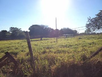 Comprar Terreno / &Aacute;rea em S&atilde;o Jos&eacute; do Rio Preto R$ 14.000.000,00 - Foto 10
