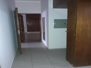 Alugar Casa / Padr&atilde;o em S&atilde;o Jos&eacute; do Rio Preto R$ 3.500,00 - Foto 3