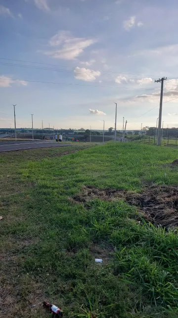 Comprar Terreno / &Aacute;rea em Bady Bassitt R$ 2.218.700,00 - Foto 12