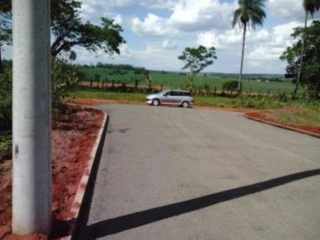 Comprar Terreno / Padr&atilde;o em Ibir&aacute; R$ 65.000,00 - Foto 3