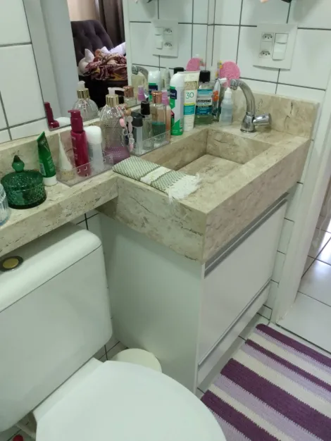 Apartamento / Padr&atilde;o em S&atilde;o Jos&eacute; do Rio Preto 