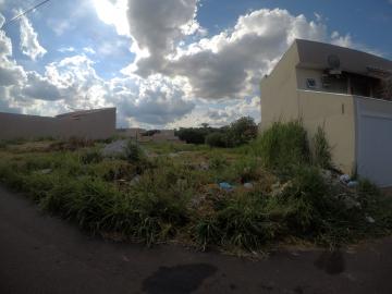Bady Bassitt Residencial Borboleta Terreno Venda R$72.500,00  Area do terreno 247.50m2 