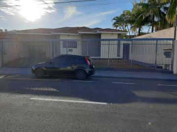 Alugar Casa / Padr&atilde;o em S&atilde;o Jos&eacute; do Rio Preto R$ 3.000,00 - Foto 4