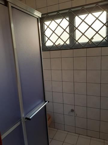Alugar Casa / Padr&atilde;o em S&atilde;o Jos&eacute; do Rio Preto R$ 3.000,00 - Foto 28