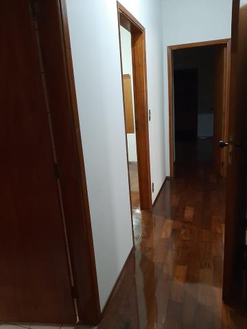 Alugar Casa / Padr&atilde;o em S&atilde;o Jos&eacute; do Rio Preto R$ 3.000,00 - Foto 31