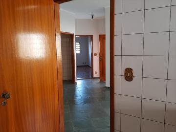 Alugar Casa / Padr&atilde;o em S&atilde;o Jos&eacute; do Rio Preto R$ 3.000,00 - Foto 16