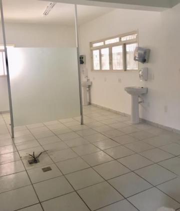 Alugar Comercial / Casa Comercial em S&atilde;o Jos&eacute; do Rio Preto R$ 6.600,00 - Foto 9