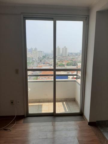 Alugar Apartamento / Padr&atilde;o em S&atilde;o Jos&eacute; do Rio Preto R$ 1.000,00 - Foto 14