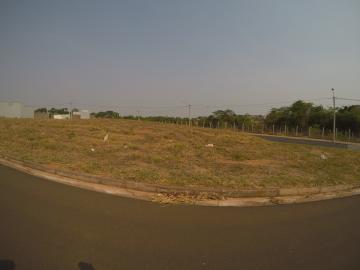 Comprar Terreno / Padr&atilde;o em S&atilde;o Jos&eacute; do Rio Preto R$ 230.000,00 - Foto 2
