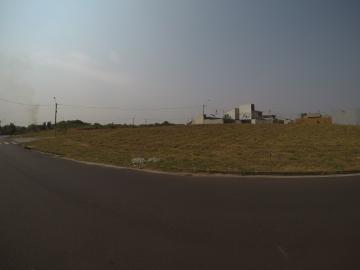 Comprar Terreno / Padr&atilde;o em S&atilde;o Jos&eacute; do Rio Preto R$ 230.000,00 - Foto 5