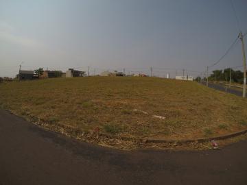 Comprar Terreno / &Aacute;rea em S&atilde;o Jos&eacute; do Rio Preto R$ 5.400.000,00 - Foto 11