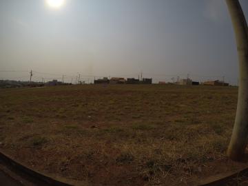 Comprar Terreno / &Aacute;rea em S&atilde;o Jos&eacute; do Rio Preto R$ 5.400.000,00 - Foto 20