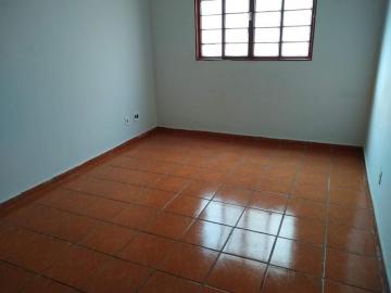 Alugar Apartamento / Padr&atilde;o em S&atilde;o Jos&eacute; do Rio Preto. apenas R$ 850,00