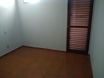 Alugar Apartamento / Padr&atilde;o em S&atilde;o Jos&eacute; do Rio Preto R$ 850,00 - Foto 4
