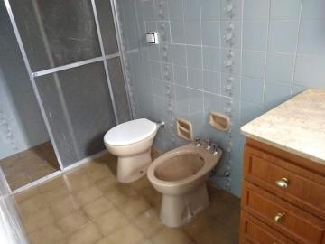 Alugar Apartamento / Padr&atilde;o em S&atilde;o Jos&eacute; do Rio Preto R$ 850,00 - Foto 8