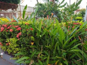 Alugar Apartamento / Padr&atilde;o em S&atilde;o Jos&eacute; do Rio Preto R$ 850,00 - Foto 12