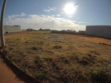 Alugar Terreno / &Aacute;rea em S&atilde;o Jos&eacute; do Rio Preto R$ 39.000,00 - Foto 4