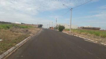Comprar Terreno / Padr&atilde;o em Cedral R$ 70.000,00 - Foto 2