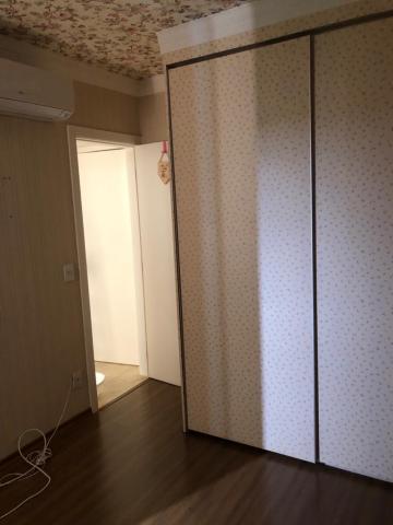 Alugar Apartamento / Padr&atilde;o em S&atilde;o Jos&eacute; do Rio Preto R$ 2.700,00 - Foto 8