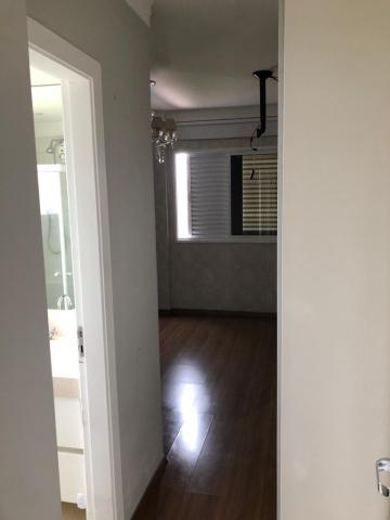 Alugar Apartamento / Padr&atilde;o em S&atilde;o Jos&eacute; do Rio Preto R$ 2.700,00 - Foto 15