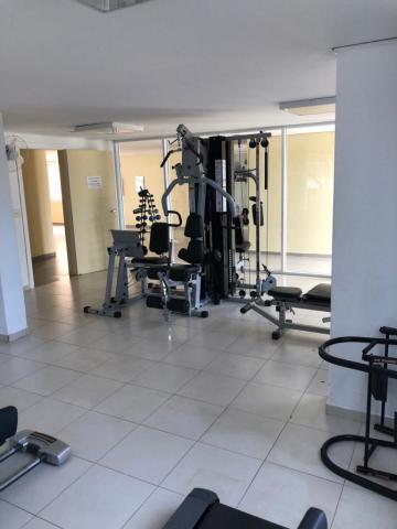 Alugar Apartamento / Padr&atilde;o em S&atilde;o Jos&eacute; do Rio Preto R$ 2.700,00 - Foto 26