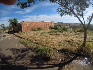 Comprar Terreno / Padr&atilde;o em Bady Bassitt R$ 57.000,00 - Foto 2