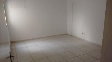 Alugar Comercial / Casa Comercial em S&atilde;o Jos&eacute; do Rio Preto R$ 3.000,00 - Foto 5