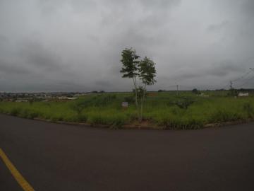 Comprar Terreno / Padr&atilde;o em Bady Bassitt R$ 64.000,00 - Foto 3