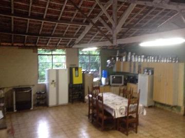 Comprar Rural / Ch&aacute;cara em S&atilde;o Jos&eacute; do Rio Preto R$ 2.300.000,00 - Foto 12