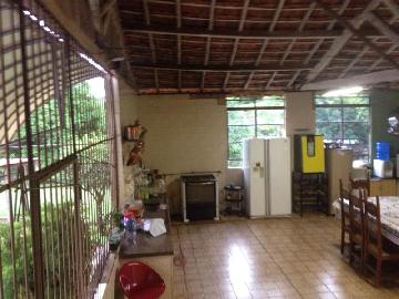 Comprar Rural / Ch&aacute;cara em S&atilde;o Jos&eacute; do Rio Preto R$ 2.300.000,00 - Foto 20