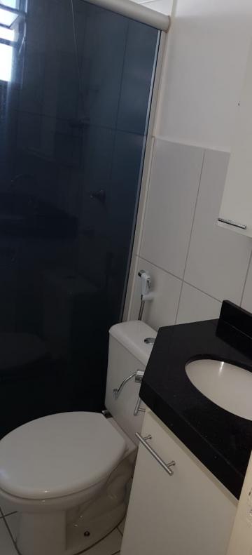 Alugar Apartamento / Padr&atilde;o em S&atilde;o Jos&eacute; do Rio Preto R$ 800,00 - Foto 9