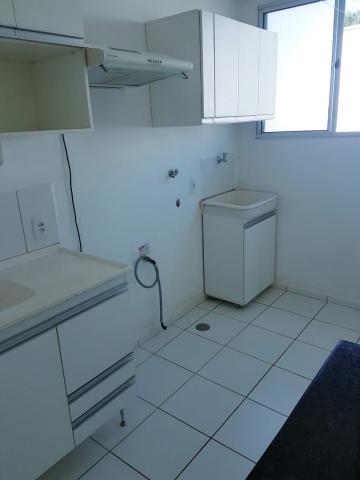 Alugar Apartamento / Padr&atilde;o em S&atilde;o Jos&eacute; do Rio Preto R$ 800,00 - Foto 7