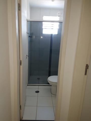Alugar Apartamento / Padr&atilde;o em S&atilde;o Jos&eacute; do Rio Preto R$ 800,00 - Foto 10