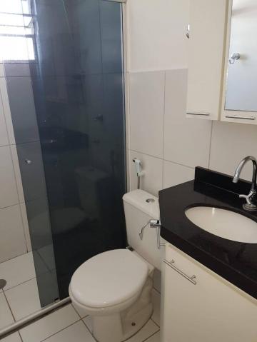 Alugar Apartamento / Padr&atilde;o em S&atilde;o Jos&eacute; do Rio Preto R$ 800,00 - Foto 8
