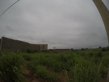 Comprar Terreno / Padr&atilde;o em Bady Bassitt R$ 65.000,00 - Foto 3