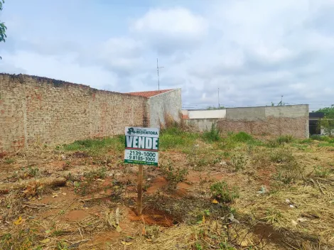 Alugar Terreno / Padr&atilde;o em Bady Bassitt. apenas R$ 65.000,00