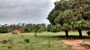 Comprar Rural / Ch&aacute;cara em S&atilde;o Jos&eacute; do Rio Preto R$ 2.200.000,00 - Foto 2