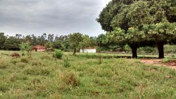Comprar Rural / Ch&aacute;cara em S&atilde;o Jos&eacute; do Rio Preto R$ 2.200.000,00 - Foto 11