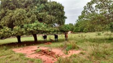 Comprar Rural / Ch&aacute;cara em S&atilde;o Jos&eacute; do Rio Preto R$ 2.200.000,00 - Foto 13