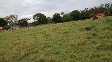 Comprar Rural / Ch&aacute;cara em S&atilde;o Jos&eacute; do Rio Preto R$ 2.200.000,00 - Foto 32